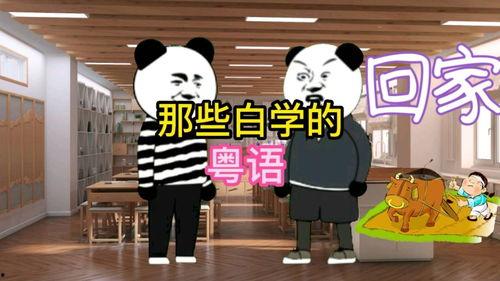 搞笑视频粤语,笑到肚子疼