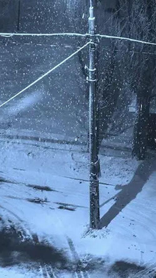 下雪视频,冬日雪景视频赏析