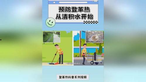 科普系列视频,科普系列视频深度解析