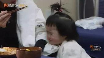 饺子哭视频,一场感人至深的哭诉